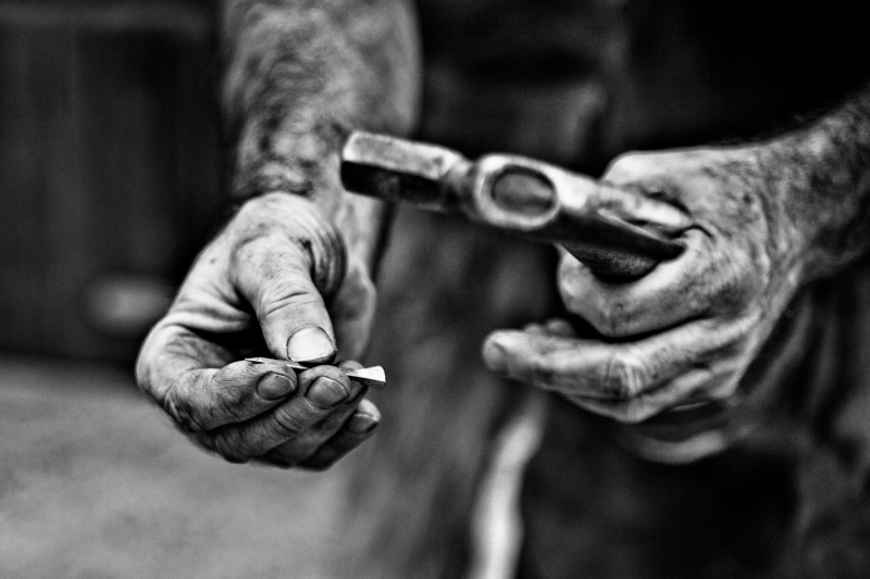 Farrier Project