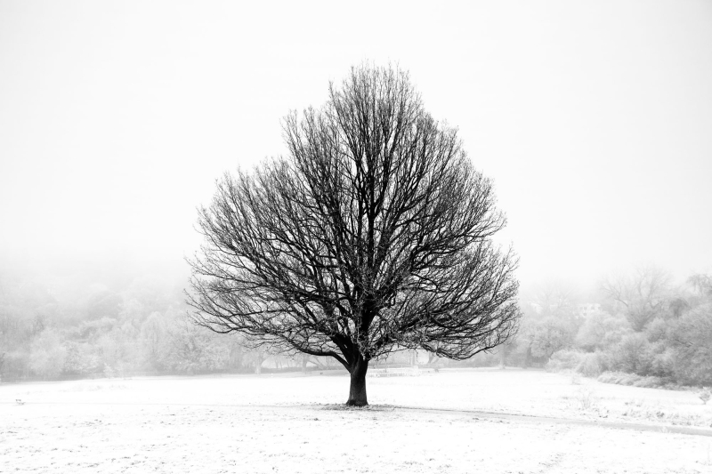 Hampstead Heath, London