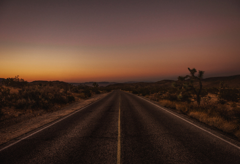 Joshua Tree