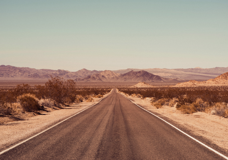 Mojave Desert