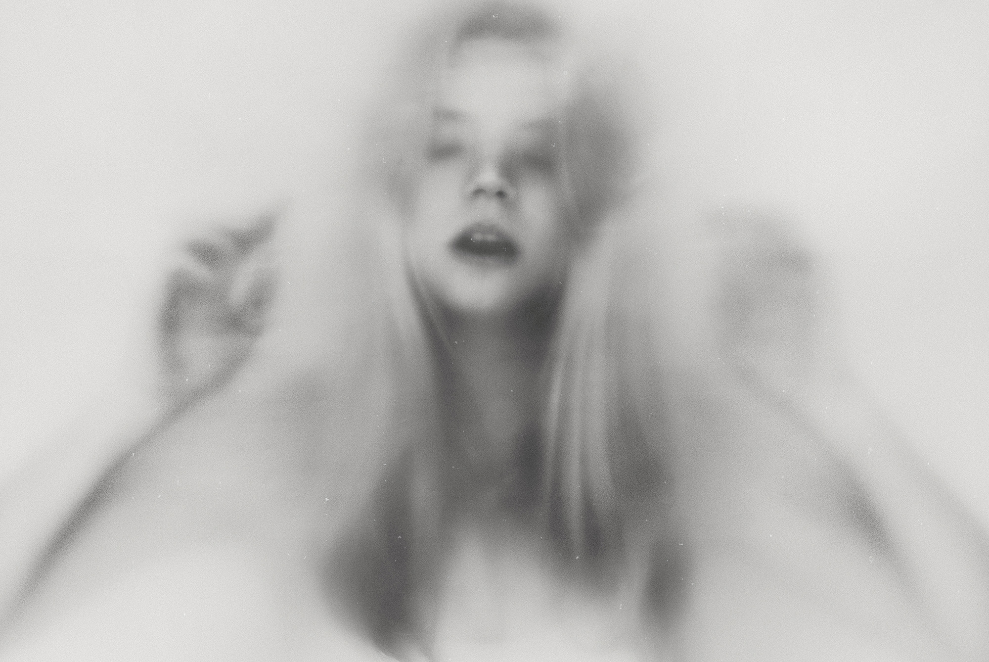SHADE SERIES