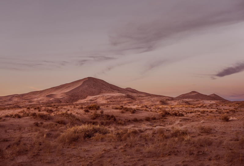 Mojave Desert